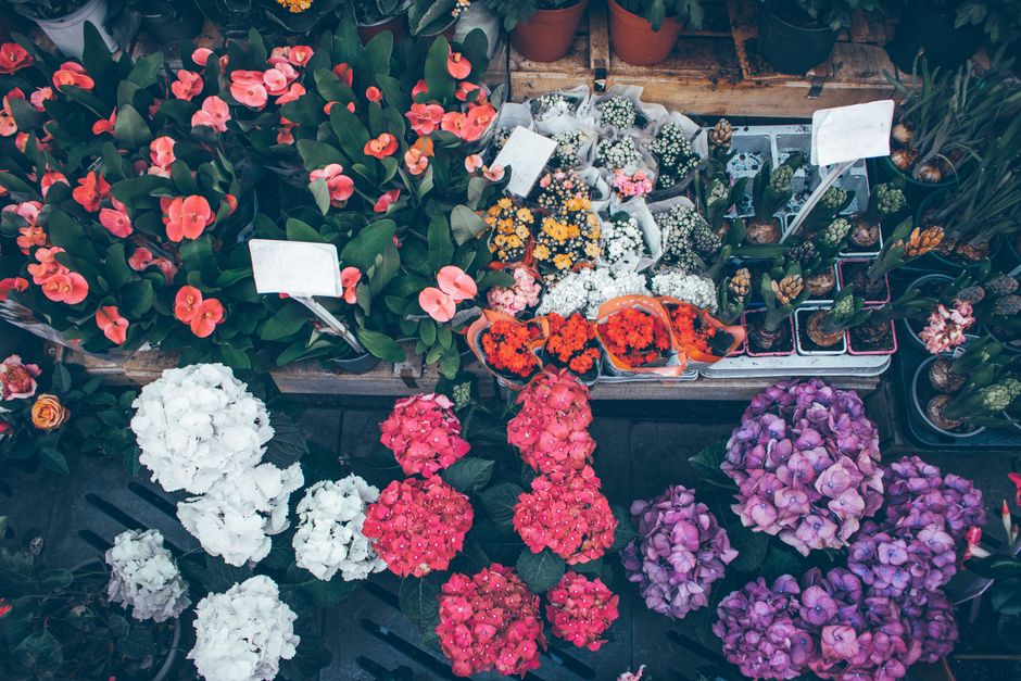 Le charme des marchés aux fleurs : comment en profiter
